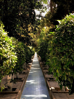 Image of futurescape 2024