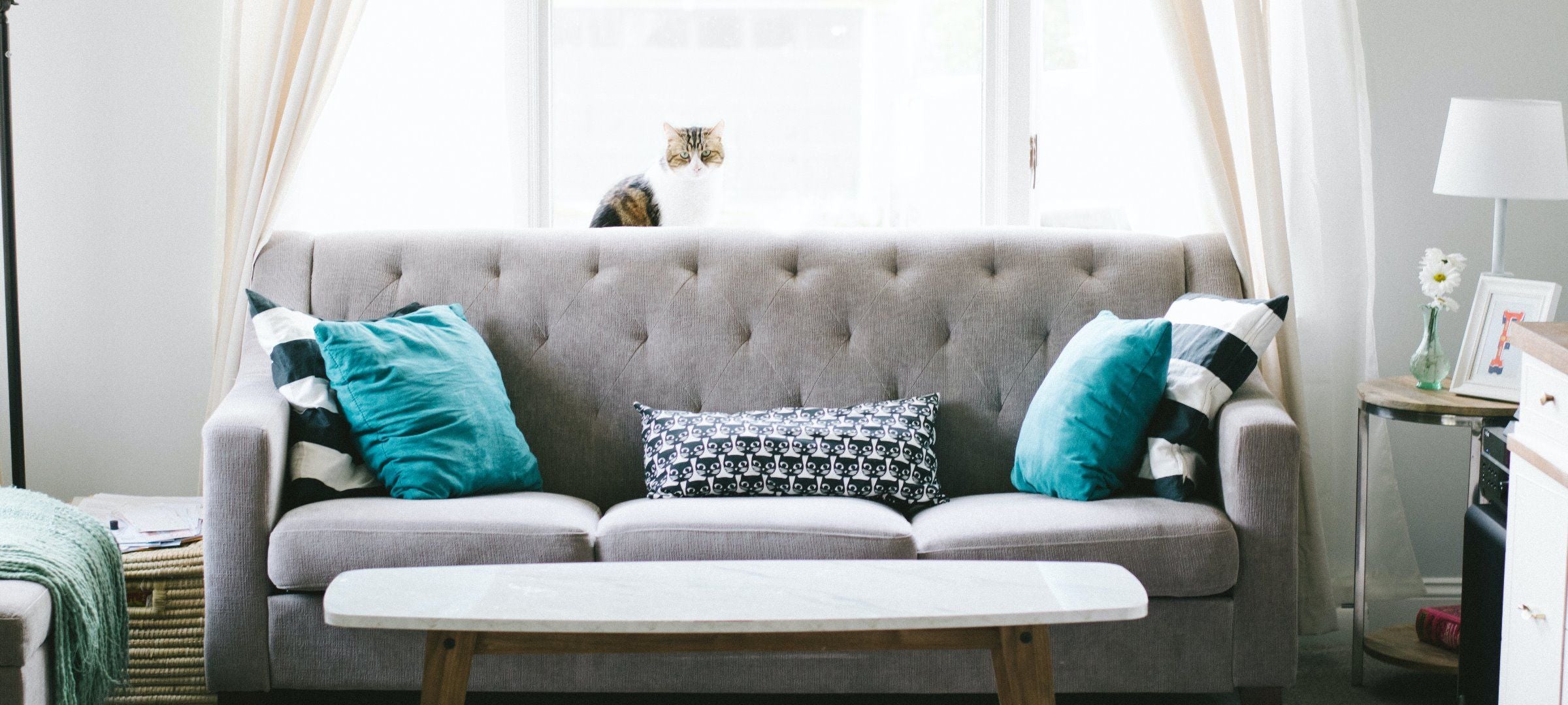 Ability Furniture Hire